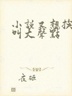 小说又想挨C了叫大声点