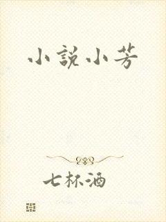 小说小芳