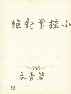 绝对掌控小说