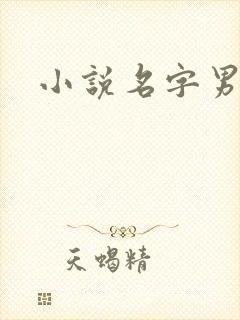 小说名字男生