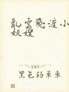 乱云飞渡小说之姣嫂