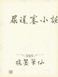 尿道塞小说封面