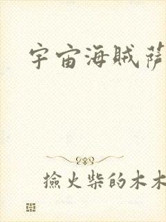 宇宙海贼萨拉封面