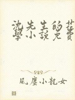 沈先生的花式教学小说免费封面