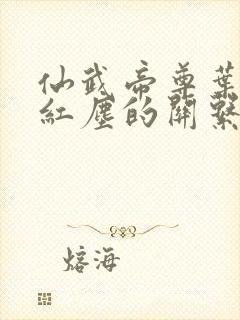 仙武帝尊叶辰和红尘的关系