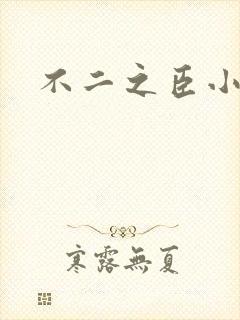 不二之臣小说