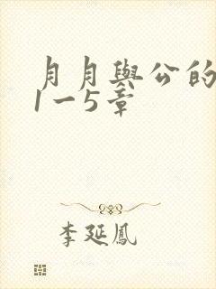 月月与公的激情1一5章