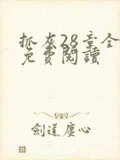 抓灰28章全部免费阅读封面