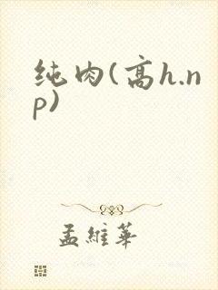 纯肉(高h.np)