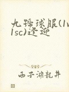 九号球服(1v1sc)逢迎
