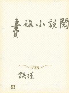 妻姐小说阅读免费封面