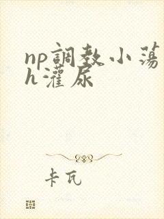 np调教小荡货h灌尿