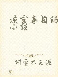 凉宫春日的忧郁小说