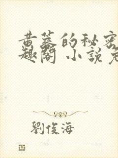 黄蓉的秘密 笔趣阁 小说免费阅读