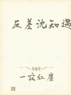 反差沈知遇晏应