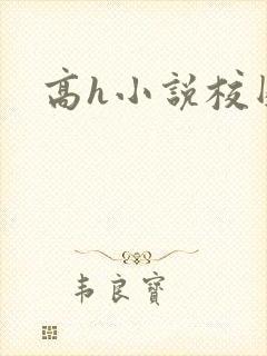 高h小说校园封面