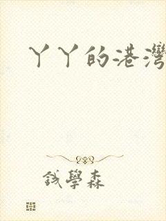 丫丫的港湾封面