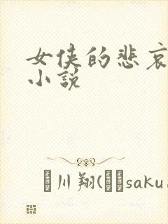 女侠的悲哀续集小说封面