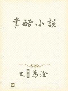 掌酷小说