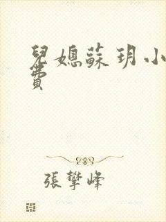 儿媳苏玥小说免费