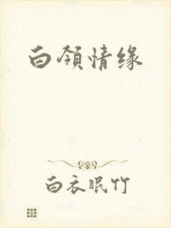 白领情缘