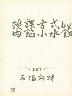 授课方式by 肉馅小水饺