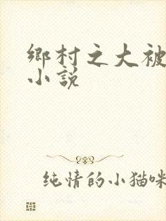 乡村之大被同眠小说