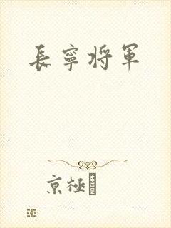长宁将军封面