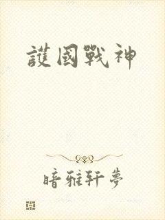 护国战神封面