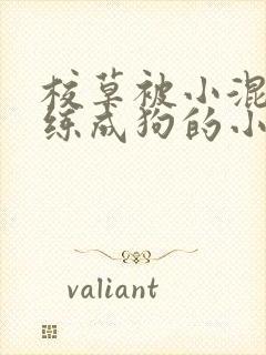 校草被小混混训练成狗的小说封面