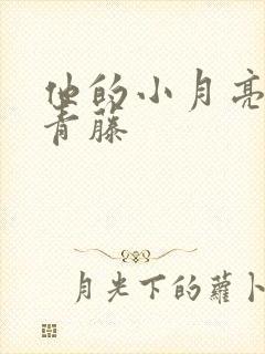 他的小月亮by青藤