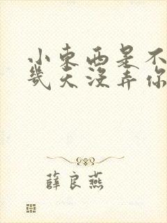 小东西是不是好几天没弄你了封面