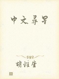 中文寻星
