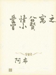 爱情公寓之极品曾小贤