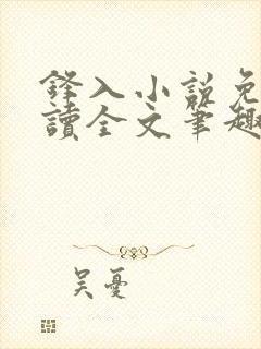 锋入小说免费阅读全文笔趣阁封面