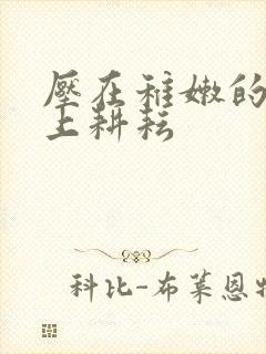 压在稚嫩的身体上耕耘封面