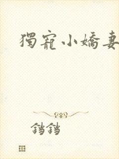 独宠小娇妻