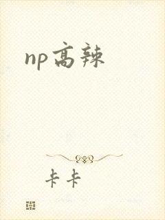 np高辣