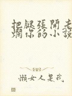 把腿张开老子臊烂你的小说