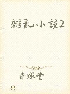 杂乱小说2