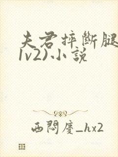 夫君摔断腿后(1v2)小说