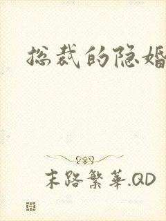 总裁的隐婚新娘