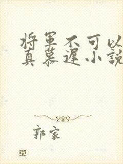 将军不可以魏云真慕迟小说笔趣阁