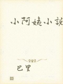 小阿姨小说封面