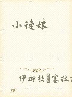 小后娘封面