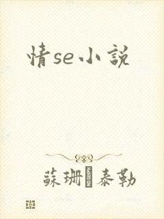 情se小说