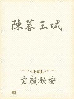 陈蓉王城封面