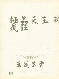 极品天王 我本疯狂