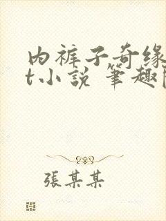 内裤子奇缘txt小说 笔趣阁