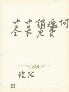 寸寸销魂何生祥全本免费